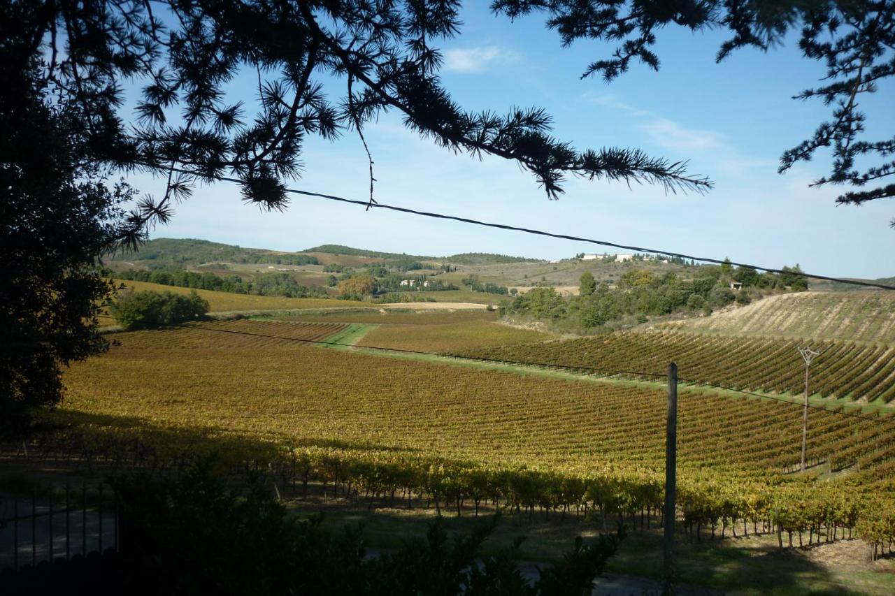 LES BRUYERES chambre d'hôte de charme Calme assuré Loupia Extérieur photo