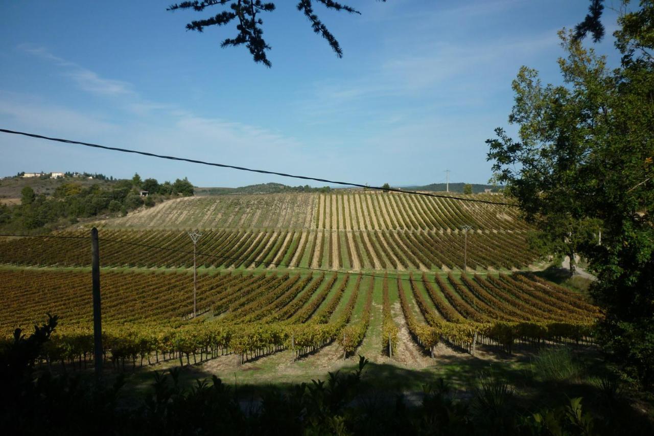 LES BRUYERES chambre d'hôte de charme Calme assuré Loupia Extérieur photo